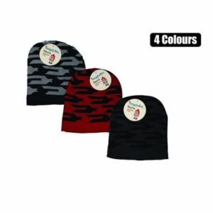 Beanie adult w/lining chevron asstd